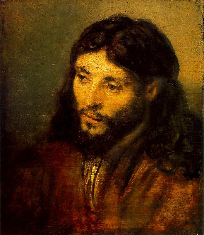 REMBRANDT Harmenszoon van Rijn Young Jew as Christ china oil painting image